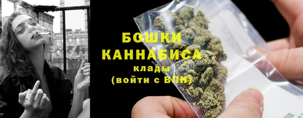 прущие грибы Куйбышев