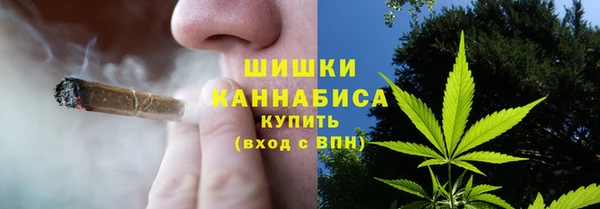 дживик Кулебаки