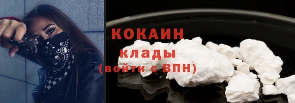прущие грибы Куйбышев