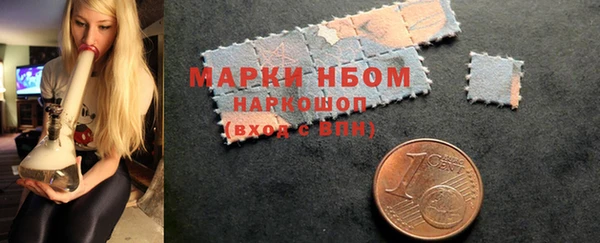 прущие грибы Куйбышев