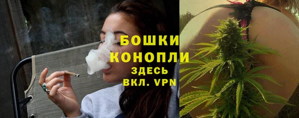 дживик Кулебаки